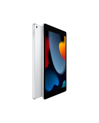 iPad Apple de 10,2 inch 256 GB Wi-Fi Silver (MK2P3CI/A)