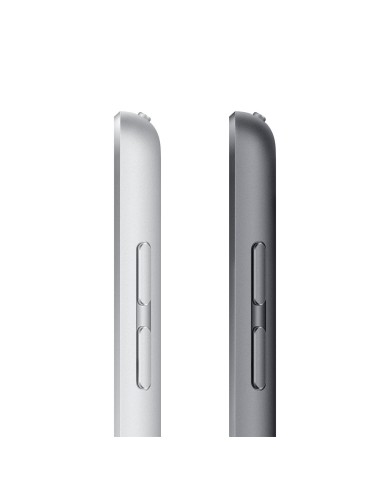 iPad Apple de 10,2 inch 256 GB Wi-Fi Silver (MK2P3CI/A)