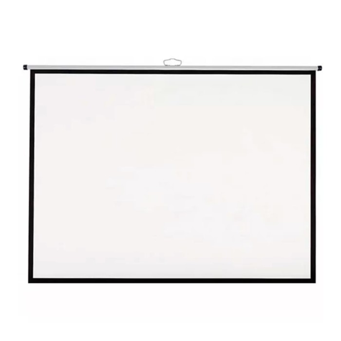 Telon Mural Dinon 200 x 150 cms