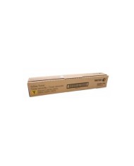 Cartucho de Tóner  Xerox Negro 113R00670