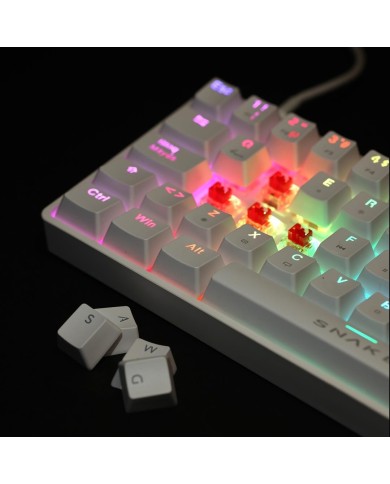 Teclado Gamer mecánico Snake Gamer Vipera SN690 60% RGB Switch Outemu Red Español