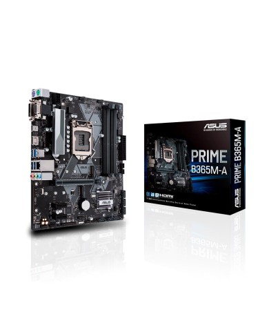 Tarjeta Madre Asus / Intel PRIME B365M-A