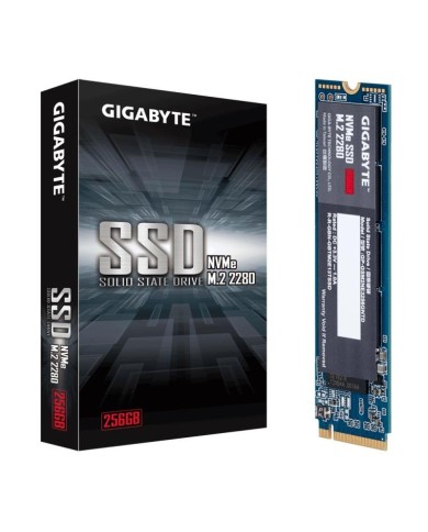 Disco Interno SSD NVME M.2 2280 256GB GP-GSM2NE3256GNTD