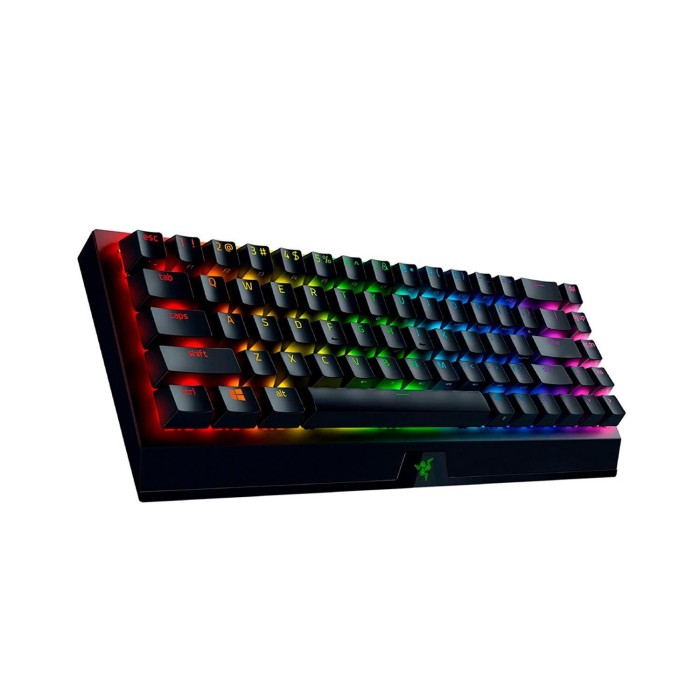 Teclado mecánico Razer BlackWidow V3 Mini HyperSpeed Yellow Switch Español (RZ03-03890900-R311)