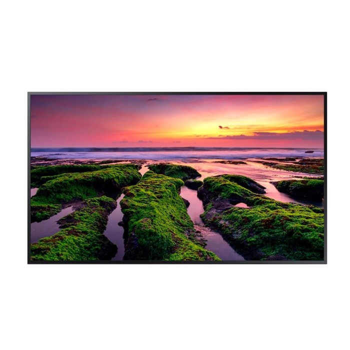 Monitor Profesional Samsung QBB 55" 4K 75Hz 8ms WiFi