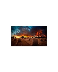Monitor Profesional Samsung QBB 55" 4K 75Hz 8ms WiFi
