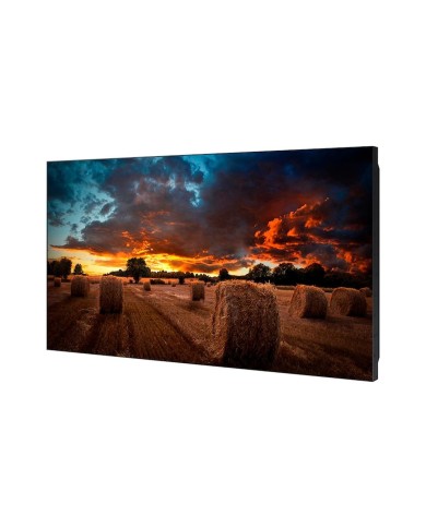 Monitor Profesional Samsung VideoWall VMB-U 55" IPS 60Hz 8ms