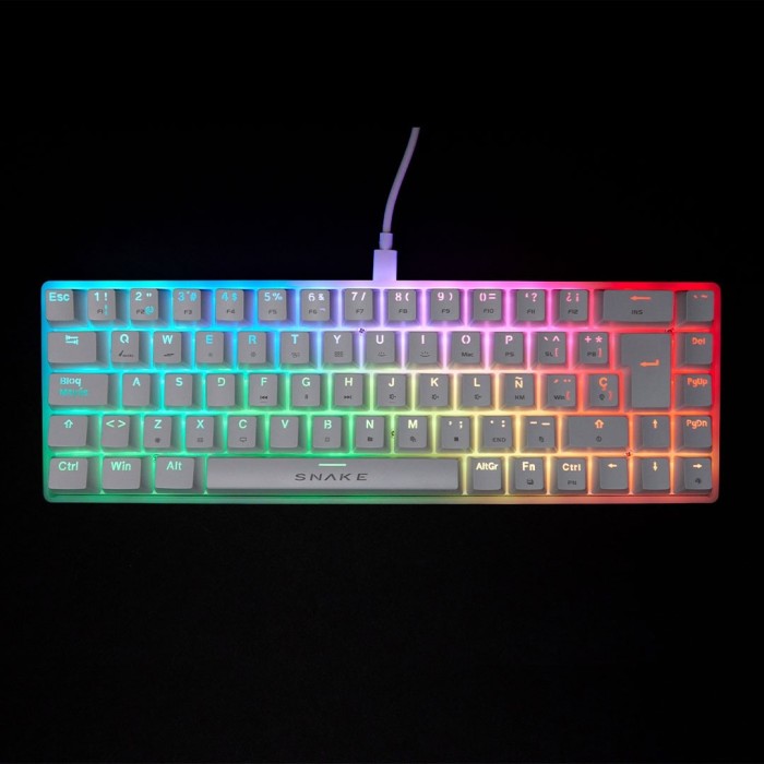 Teclado Gamer mecánico Snake Gamer Vipera SN790 RGB Switch Outemu Red Español