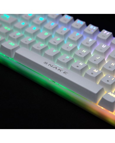 Teclado Gamer mecánico Snake Gamer Vipera SN790 RGB Switch Outemu Red Español