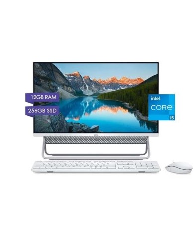 Desktop All-in-One Dell Inspiron 5400 i5-1135G7 / 12GB Ram / 256GB SSD+HDD 1TB / 23.8" LED / Windows 10 Home (DE0-871)