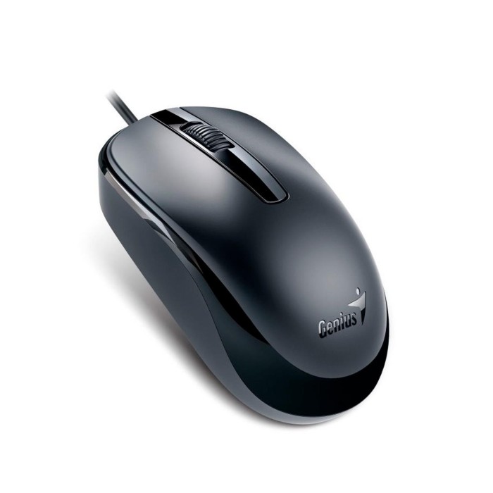 Mouse Óptico Genius DX-120 1000 DPI 3 Botones Negro (31010105100)