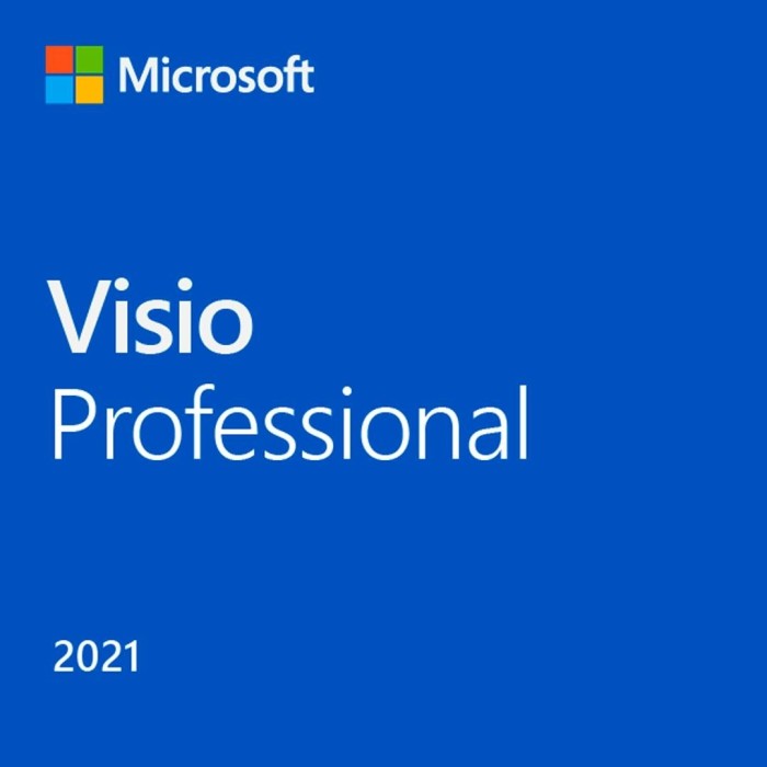 Microsoft Visio Profesional 2021, 1 usuario, Plurilingüe, Descarga digital (ESD)