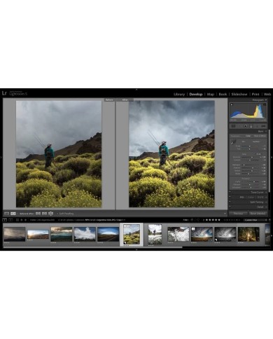 Licencia Adobe Creative Cloud for Teams All Apps, Suscripción Anual