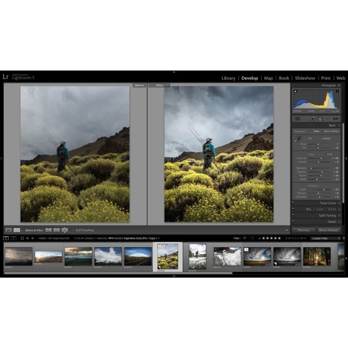 Licencia Adobe Creative Cloud for Teams All Apps, Suscripción Anual
