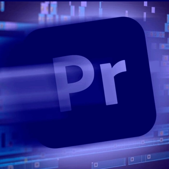 Licencia Adobe Premier Pro CC for Teams, Suscripción Anual