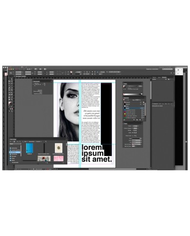 Licencia Adobe InDesign CC for Teams, Suscripción Anual