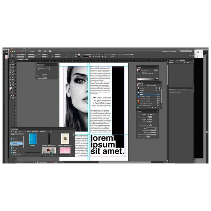 Licencia Adobe InDesign CC for Teams, Suscripción Anual