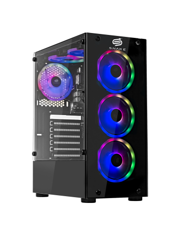 Pc Gamer Vibora Black V1 Pro AMD Ryzen 5 4600G, SSD 512GB, RAM 16 GB, WIFI 2.0 | Snake Gamer