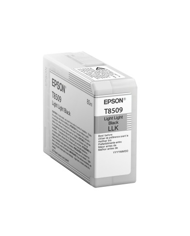 Cartucho de Tinta Original Epson T850 UltraChrome Negro Claro