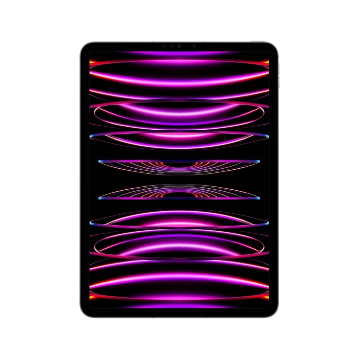 Apple iPad Pro de 11" 2022 WiFi + Celular