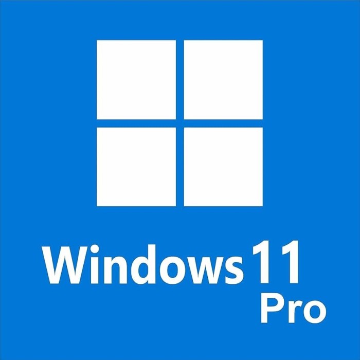 Microsoft Windows 11 Pro Español, 64-bit, 1 Usuario, OEM